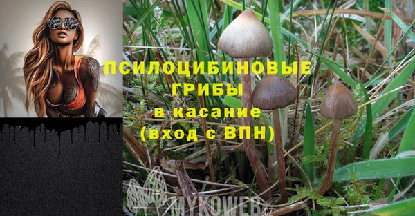 экстази Гатчина
