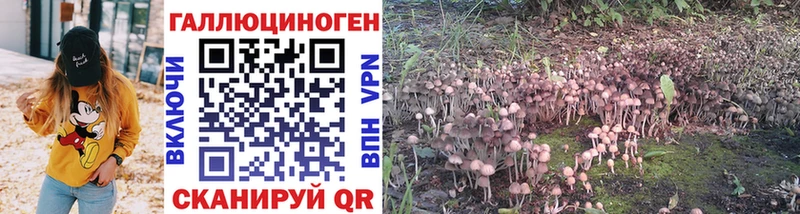 что такое   Западная Двина  ОМГ ОМГ зеркало  Псилоцибиновые грибы Magic Shrooms 
